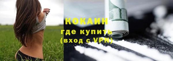 соль ск Дмитровск