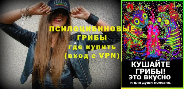 соль ск Дмитровск