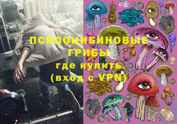 спайс Дмитриев